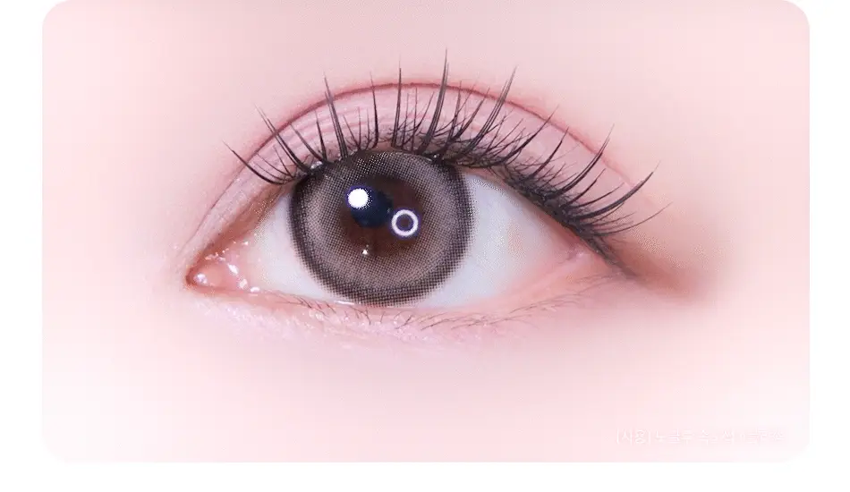 [어워즈 기획]코링코 톡톡하라 노글루 속눈썹 어워즈 한정기획 (+아이래쉬 세럼 5ml, 언더팝 속눈썹 20pcs 증정) 상세페이지 31